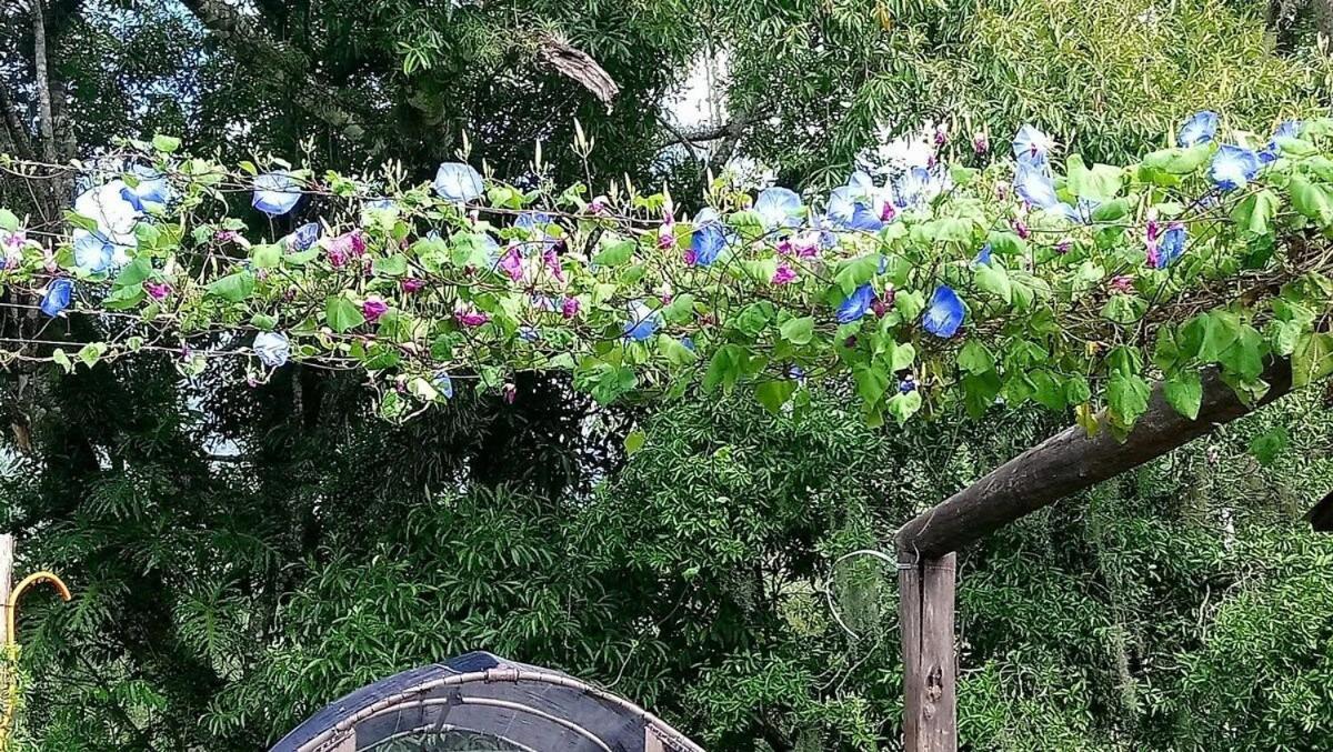 Willa Tiny House Garden - Aparados Da Serra - Sc Praia Grande  Zewnętrze zdjęcie