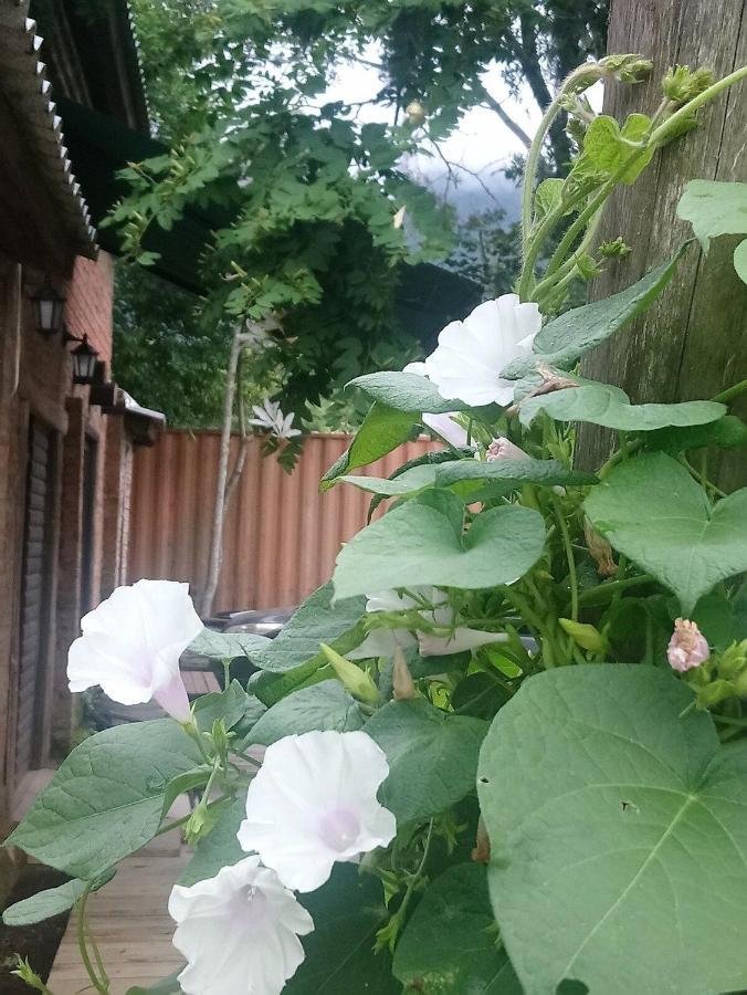 Willa Tiny House Garden - Aparados Da Serra - Sc Praia Grande  Zewnętrze zdjęcie
