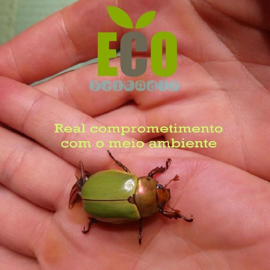 Willa Tiny House Garden - Aparados Da Serra - Sc Praia Grande  Zewnętrze zdjęcie